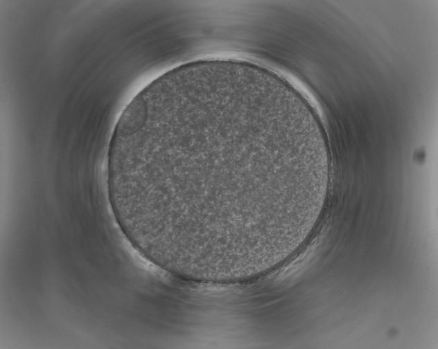 X0000116770951201001281630
