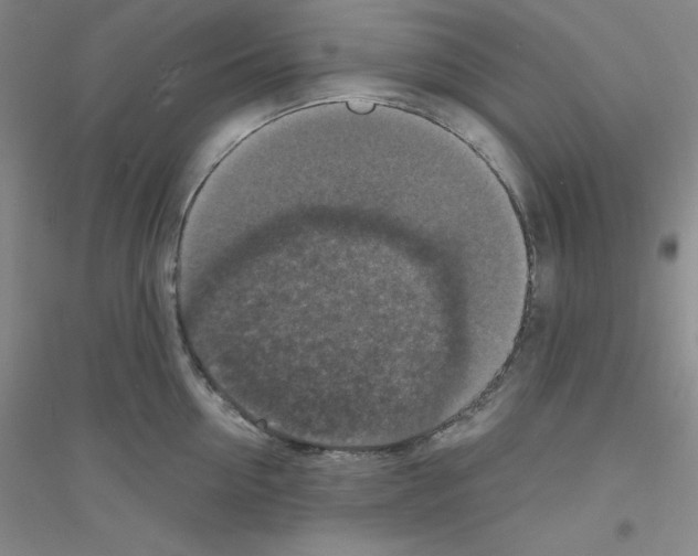 X0000116770954201001281630