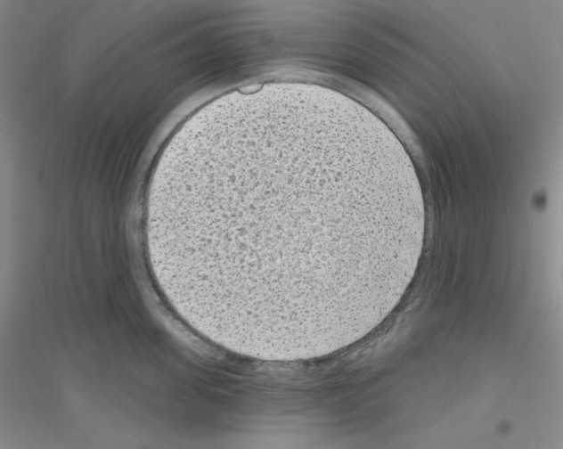X0000116770955201001281630