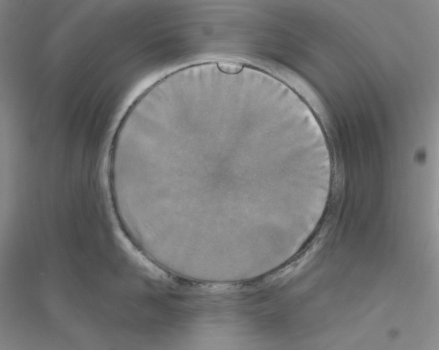 X0000116770958201001281630