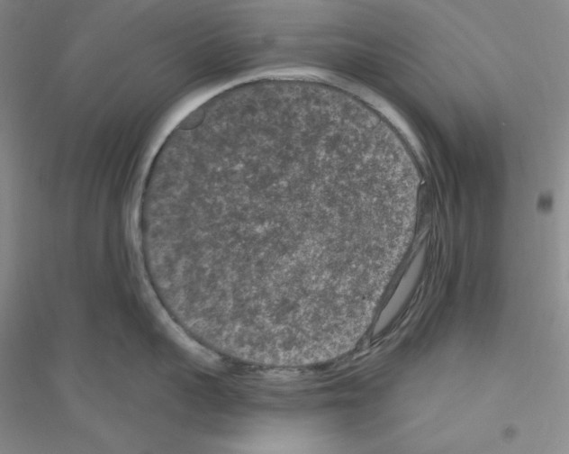 X0000116770959201001281630