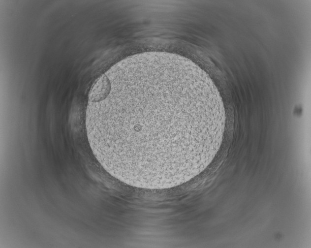 X0000116770962201001281629