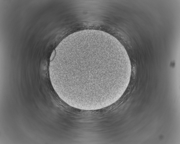 X0000116770963201001281629