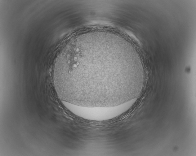 X0000116770965201001281629