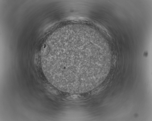 X0000116770966201001281629