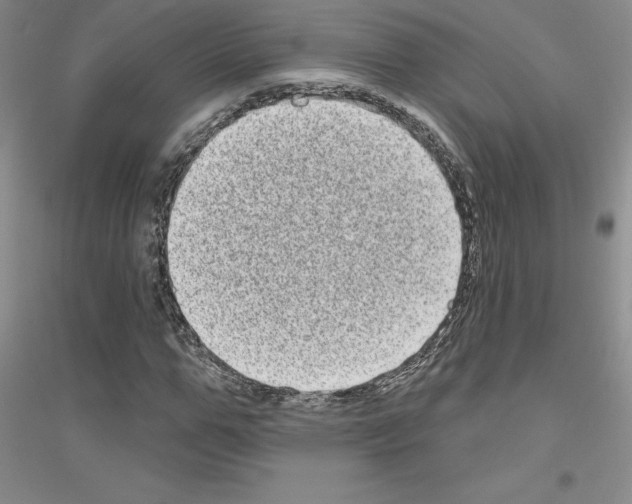 X0000116770967201001281629