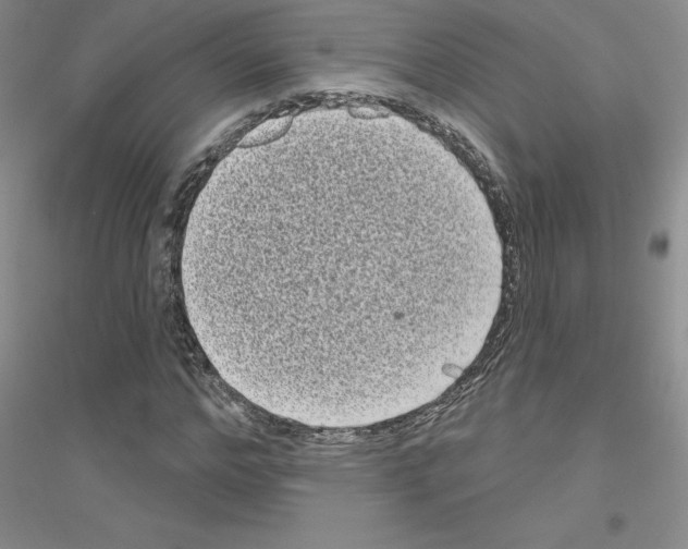 X0000116770968201001281629