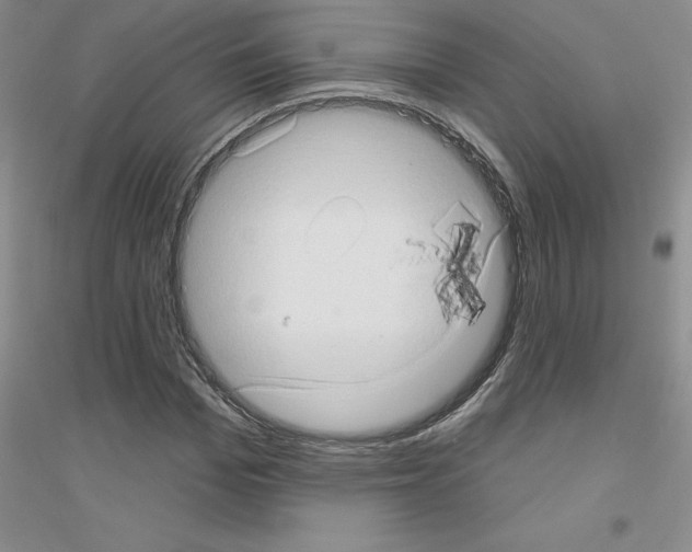 X0000116770969201001281629