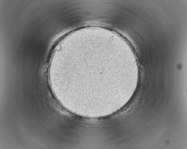 X0000116770971201001281629