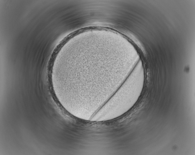 X0000116770972201001281629