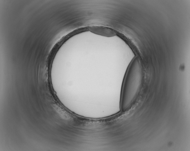 X0000116770973201001281629