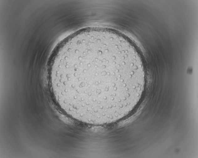 X0000116770974201001281629