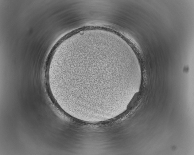 X0000116770976201001281629