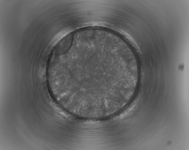 X0000116770977201001281629