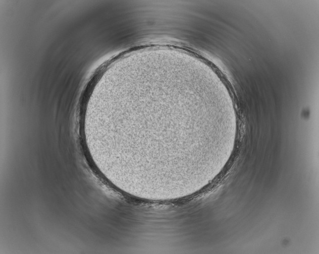 X0000116770979201001281629