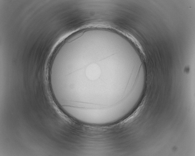 X0000116770981201001281629