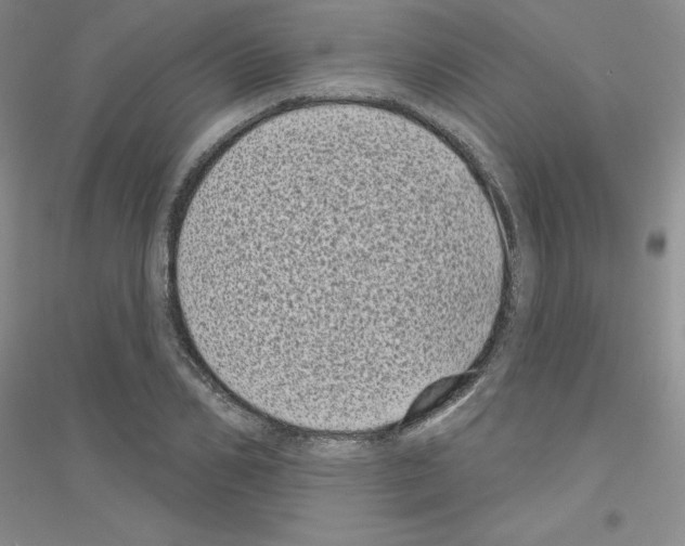 X0000116770982201001281629