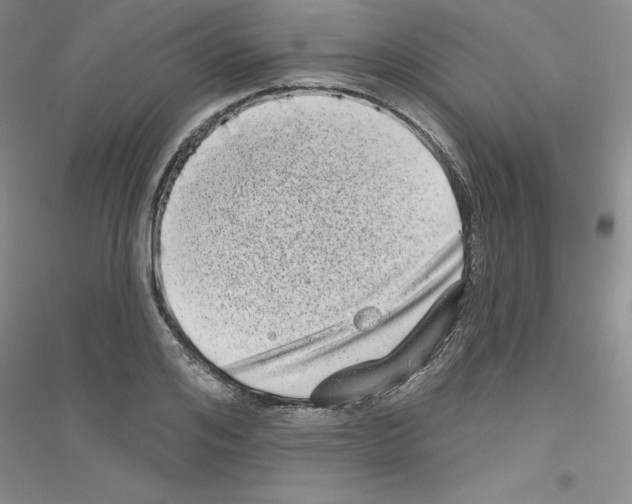 X0000116770984201001281629
