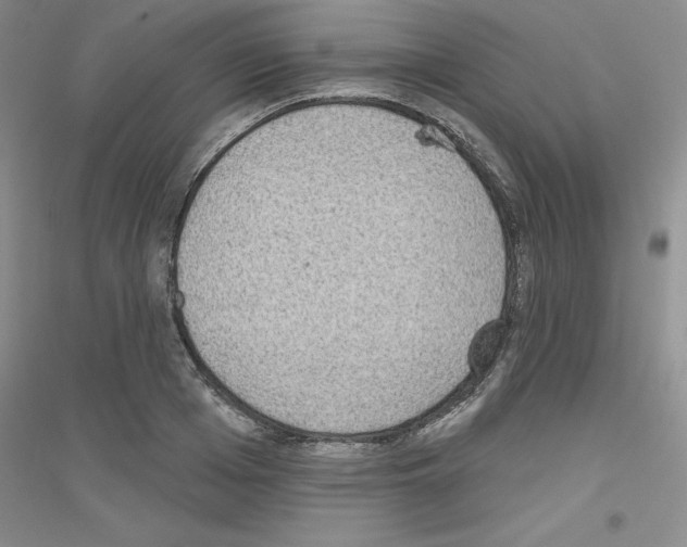 X0000116770985201001281629