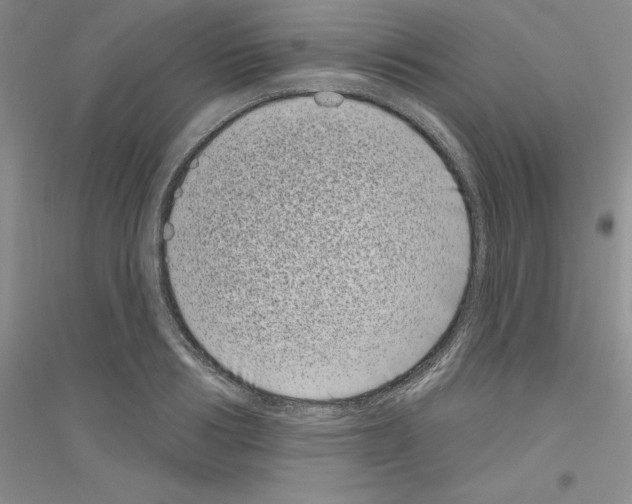 X0000116770986201001281629