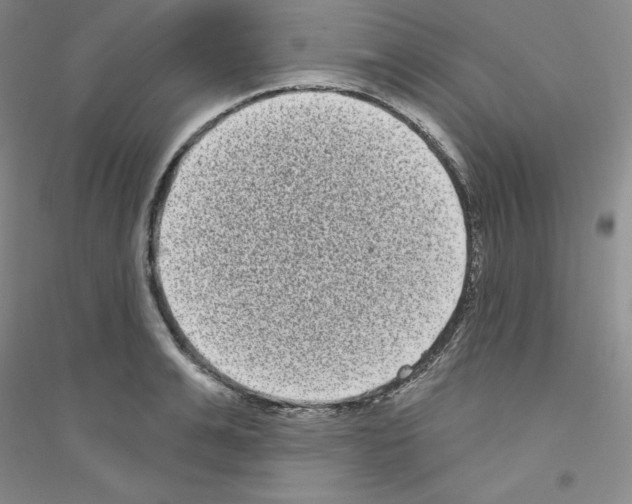 X0000116770991201001281629