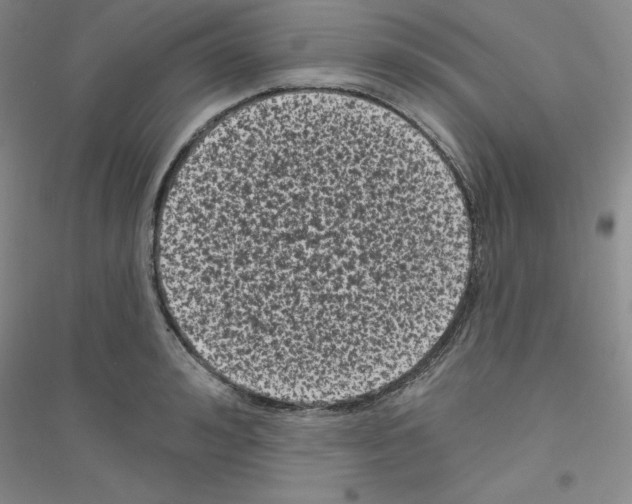 X0000116770992201001281629