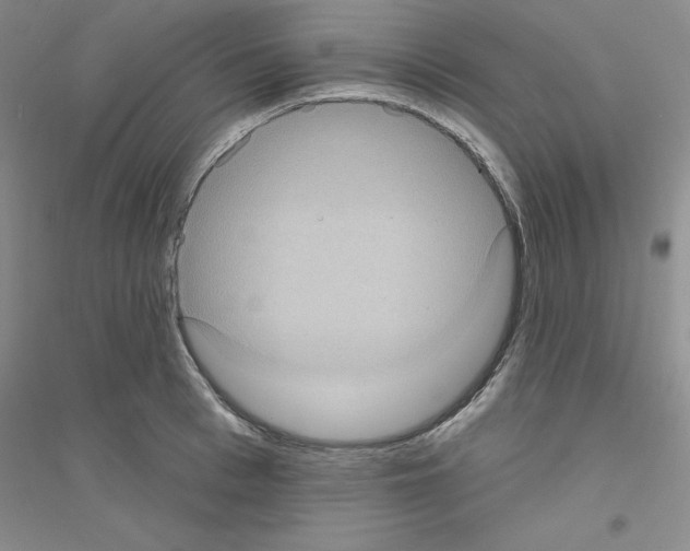 X0000116770993201001281629