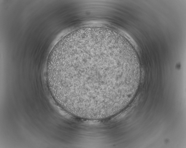 X0000116770994201001281629
