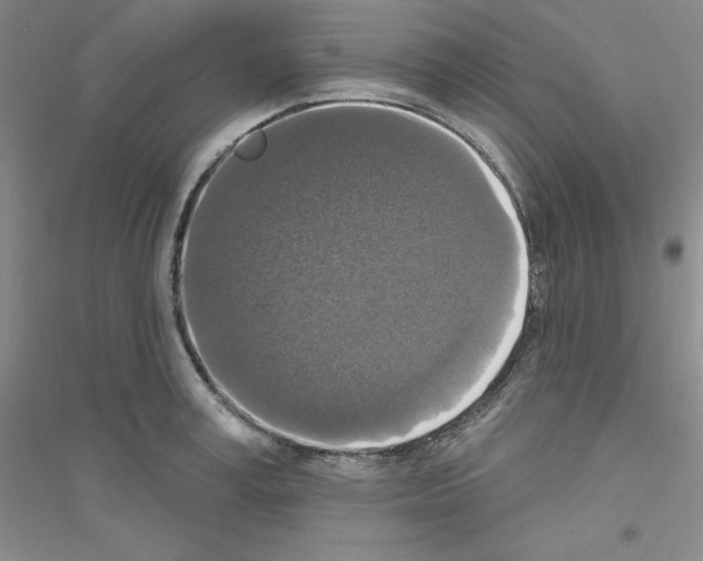 X0000116770995201001281629