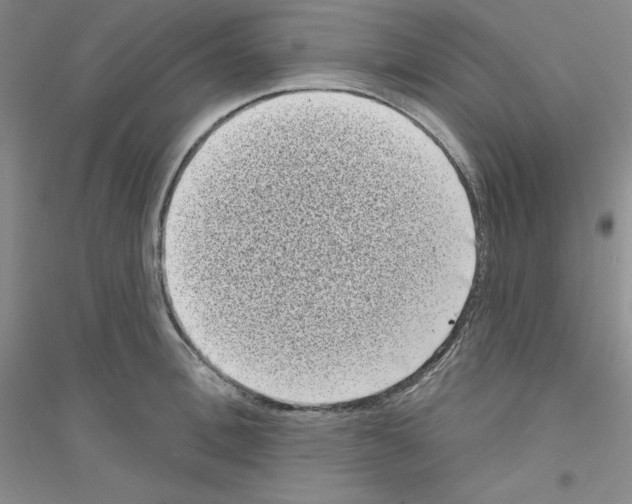 X0000116770996201001281629
