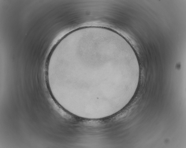 X0000116770998201001281629