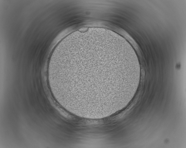 X0000116771002201001281629