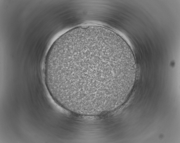 X0000116771003201001281629