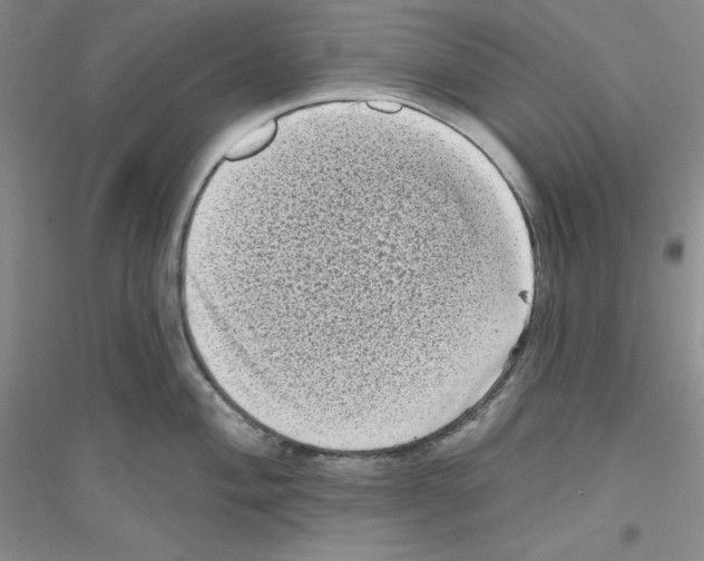 X0000116771004201001281629
