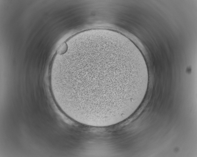 X0000116771006201001281629