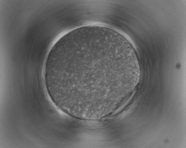 X0000116771007201001281629
