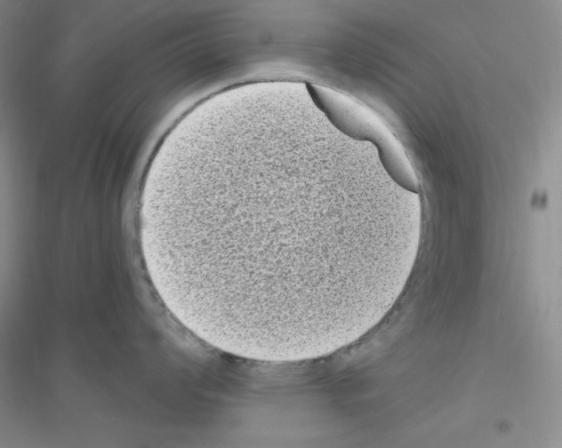 X0000116771008201001281629