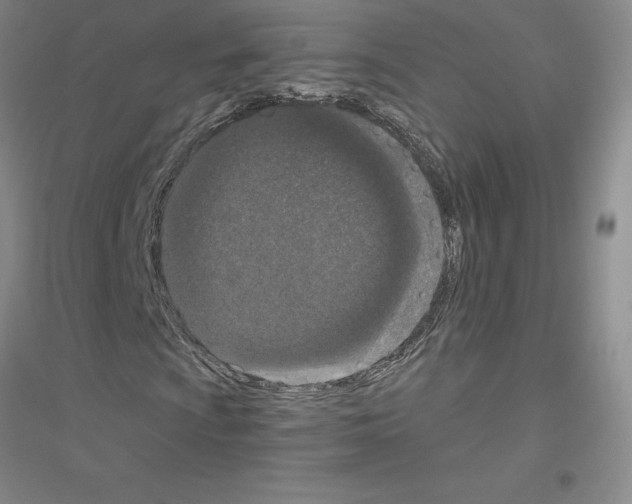 X0000116771009201001281628
