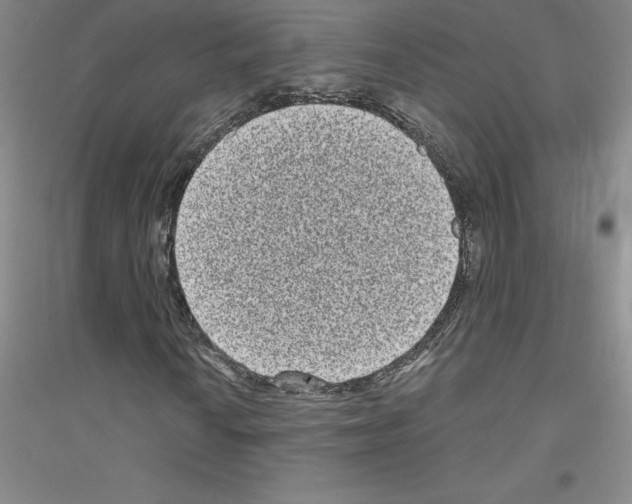 X0000116771010201001281628