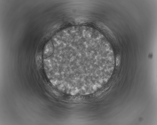 X0000116771011201001281628