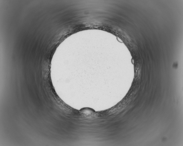 X0000116771012201001281628