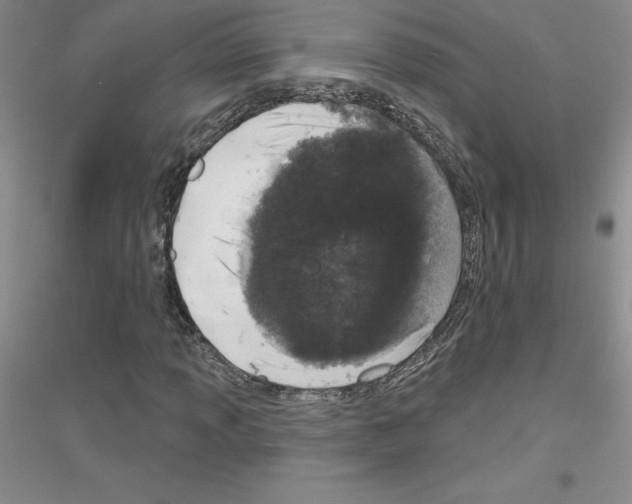 X0000116771013201001281628