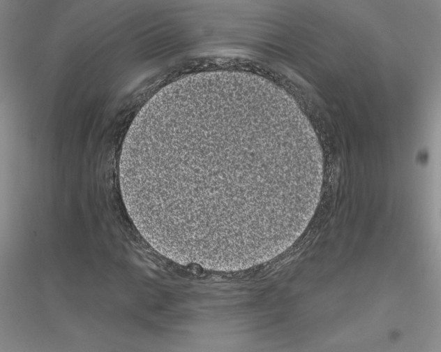 X0000116771014201001281628