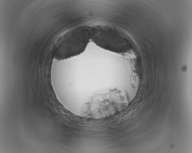 X0000116771016201001281628