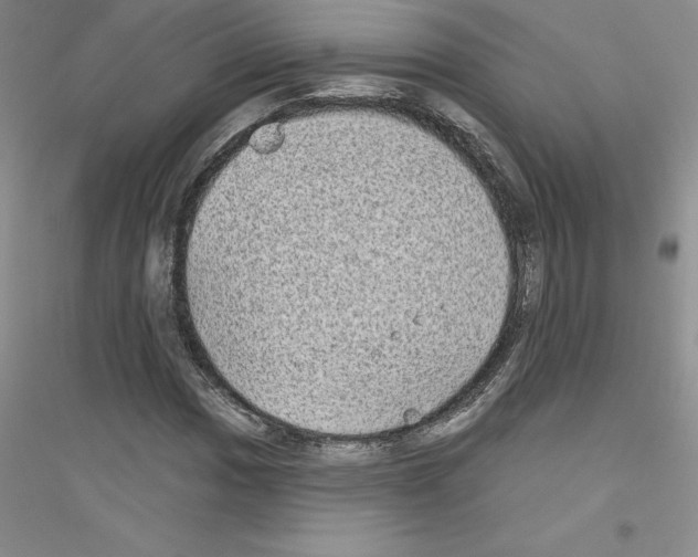 X0000116771017201001281628