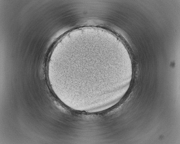 X0000116771018201001281628