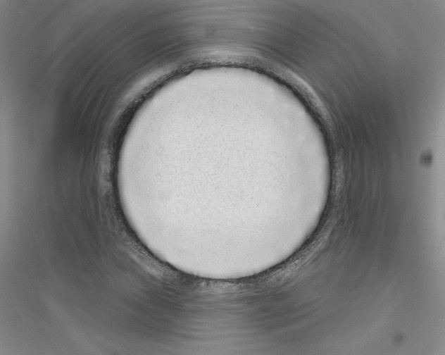 X0000116771019201001281628