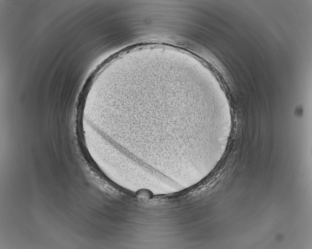X0000116771020201001281628