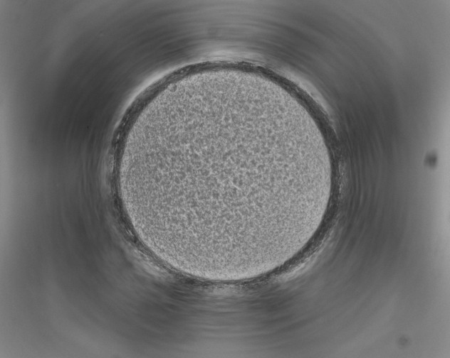 X0000116771021201001281628