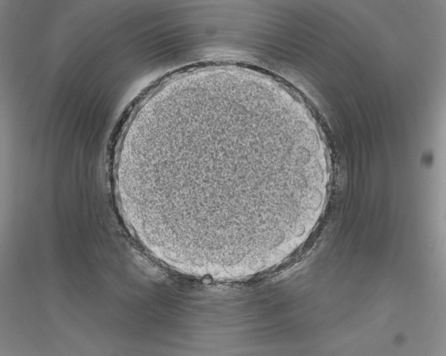 X0000116771022201001281628